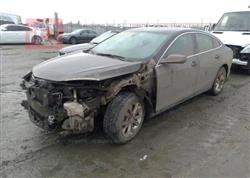 شيفروليه ماليبو